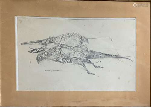 安德烈-米诺，1923-1988年雉鸡铅笔画（污渍），左下角签名27x45 cm a...