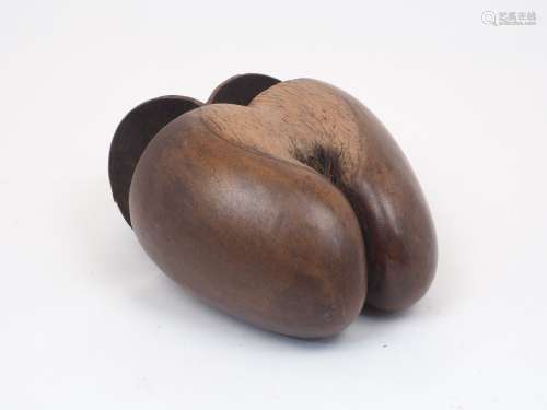 A coco de mer seed pod, Lodoicea maldivica, with lid, 30cm h...