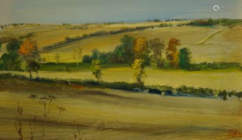 George J D Bruce, British b.1930- Wiltshire downs; oil on bo...