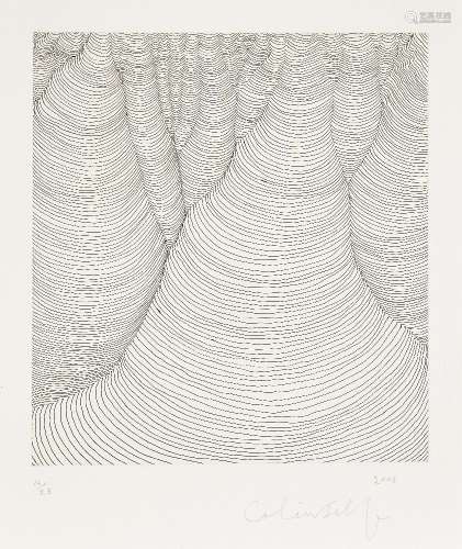 Colin Self, British b.1941- Untitled, 2008; etching on Somer...