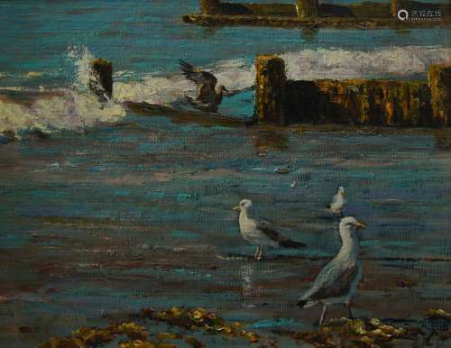 David Aldus, Welsh b.1941- Seagulls; oil on canvas board, si...