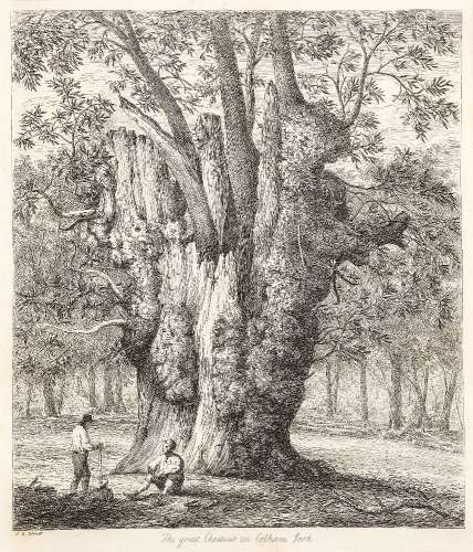 Jacob George Strutt, British 1784-1867- The Great Yew at For...