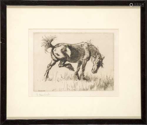 Edmund Blampied RE, British 1886-1966- Flies; etching, signe...
