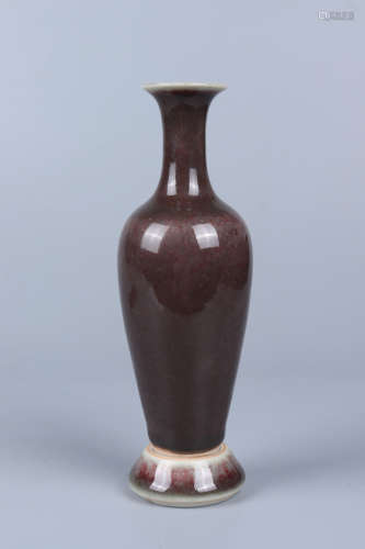 Chinese Qing Dynasty Kangxi Porcelain Bottle