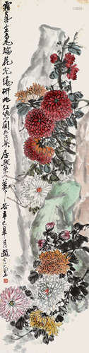 赵云壑 《菊花》