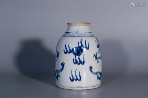 Qing dynasty, KANG XI, blue and white dragon pattern porcela...