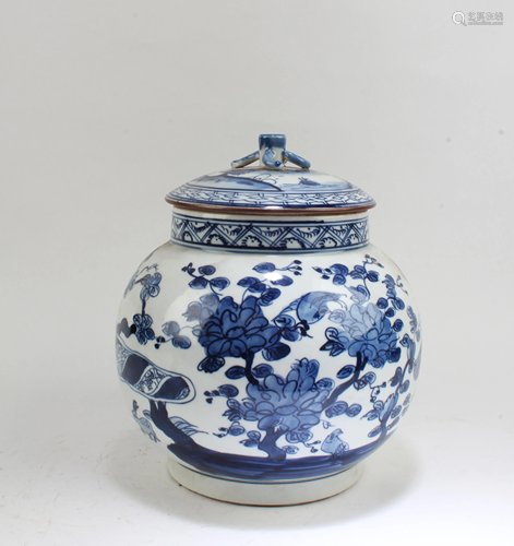 Chinese Blue & White Porcelain Jar