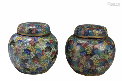 A Pair of Chinese Cloisonne Tea Leaves Container