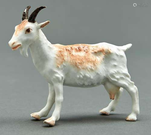 A German porcelain model of a goat, 19th / early 20th c, 90m...