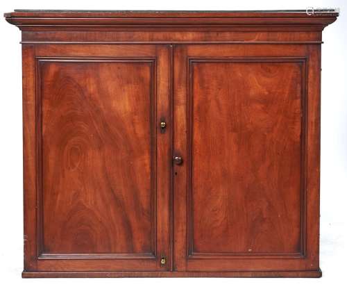 A Victorian mahogany hanging cupboard of unusually shallow d...