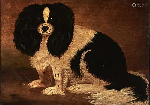 British Naive Artist, 19th c or later - A King Charles Spani...