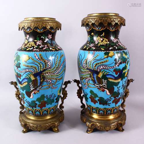 A LARGE PAIR OF 19TH CENTURY JAPANESE CLOISONNE & ORMOLU MOU...