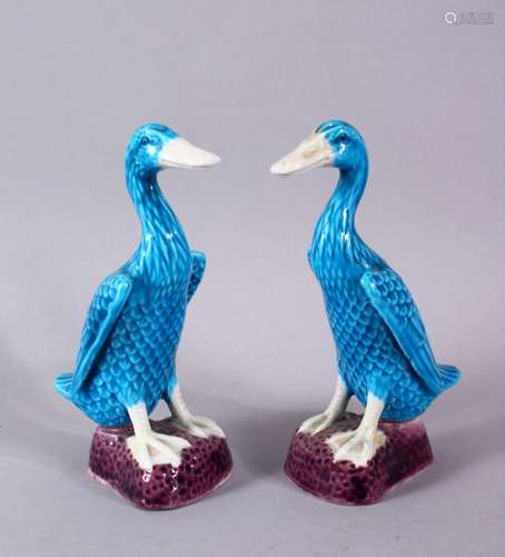 A PAIR OF CHINESE TURQUOISE GLAZED FIGURES OF DUCKS, stood u...