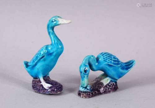 A PAIR OF CHINESE TURQUOISE GLAZED FIGURES OF DUCKS, stood u...