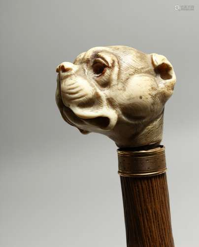 A RUSTIC WALKING STICK WITH BULL DOG IVORY HANDLE. 34ins lon...