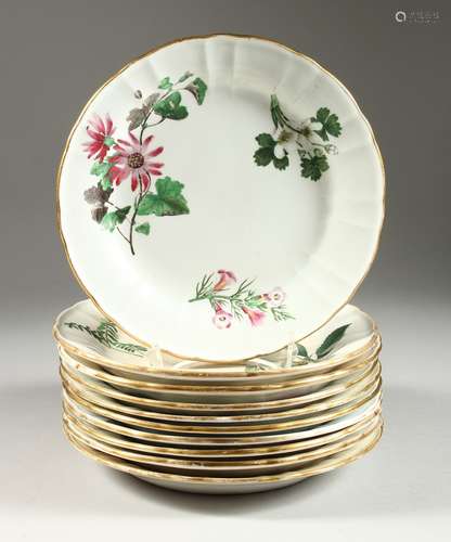 A SET OF TEN WEDGWOOD CIRCULAR BOTANICAL PLATES, each painte...