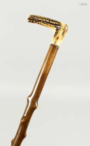 A VICTORIAN BONE HANDLED WALKING STICK, with blackthorn hand...