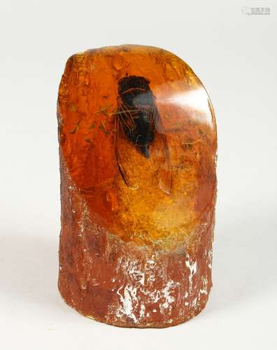 AN AMBER BUG PAPER WEIGHT 5ins high