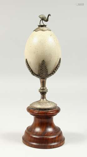 AN AUSTRALIAN EMU EGG with plated mount and wooden box. Egg ...