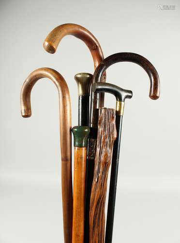 SEVEN VARIOUS WALKING STICKS