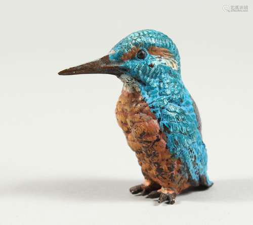 A COLD CAST PAINTED BRONZE KINGFISHER PIN CUSHION 2.5ins lon...