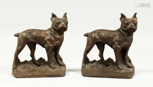 A PAIR OF CAST IRON FRENCH BULLDOG BOOK ENDS 5ins higH.