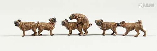 THREE SMALL PAINTED BRONZE MATING DOGS 1.25ins high