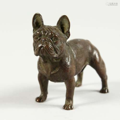 AN AUSTRIAN BRONZE PUG DOG 2.75ins