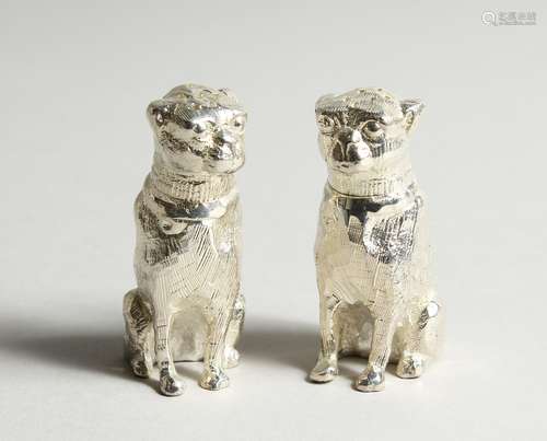 A PAIR OF SILVER PLATE DOG SALT AND PEPPERS 2.35ins high