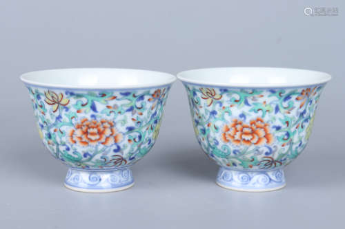 Chinese Pair Of Qing Dynasty Yongzheng Doucai 