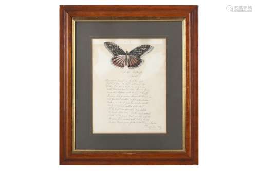 A REGENCY PAINTED AND CUT PAPER PICTURE OF A BUTTERFLY