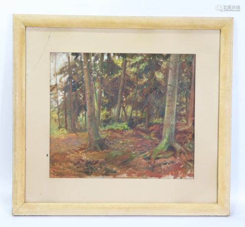 G Thiele; Pine Forest; Mixed Media on Cardboard
