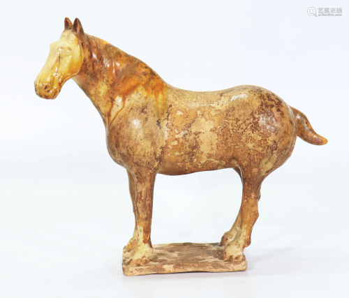 Chinese Amber Glazed Tang Dynasty Horse