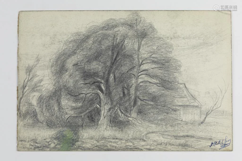 PENCIL DRAWING OF A LARGE TREE