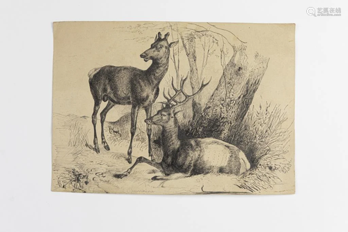 DRAWING OF TWO DEER