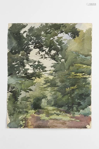 WATERCOLOR PAINTING OF A FOREST