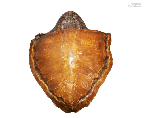 ANTIQUE TORTOISE SHELL