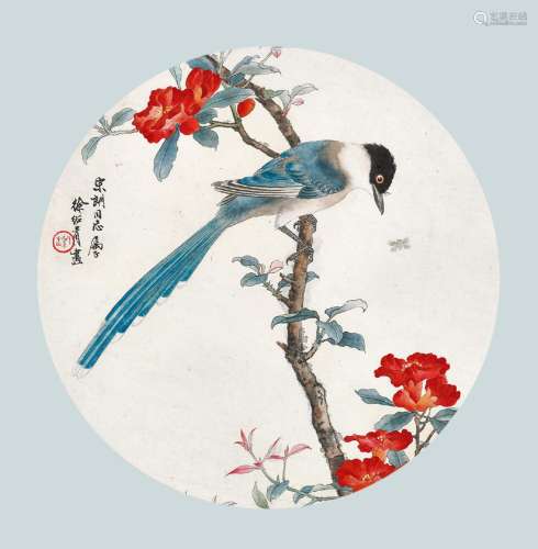 徐绍青 （1919-1995 ） 山茶喜鹊 团扇面镜心 设色纸本