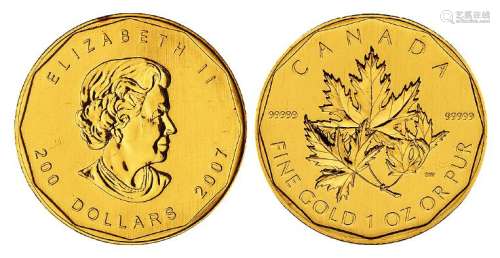 2007年加拿大枫叶纪念金币一枚