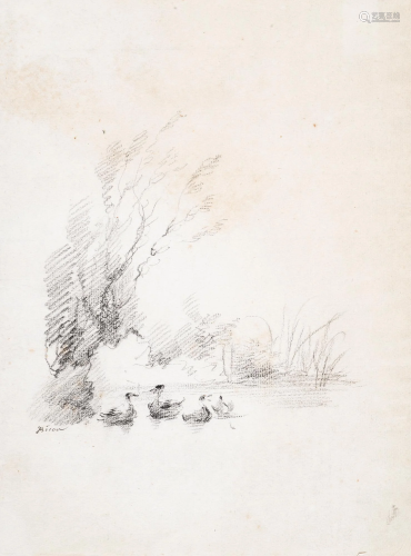 BISON. Pond with ducks. Drawing.