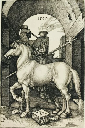 Albrecht DURER. The little horse.