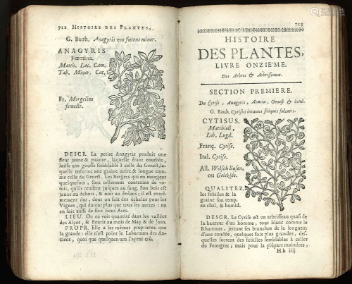 Botany. DE VILLE. Histoire des Plantes de l'Europe
