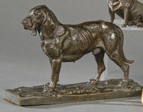 Setter in patinated bronze 20th century. Numbered