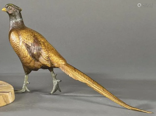 Pheasant in polychrome bronze, Vienna h. 1900. size: