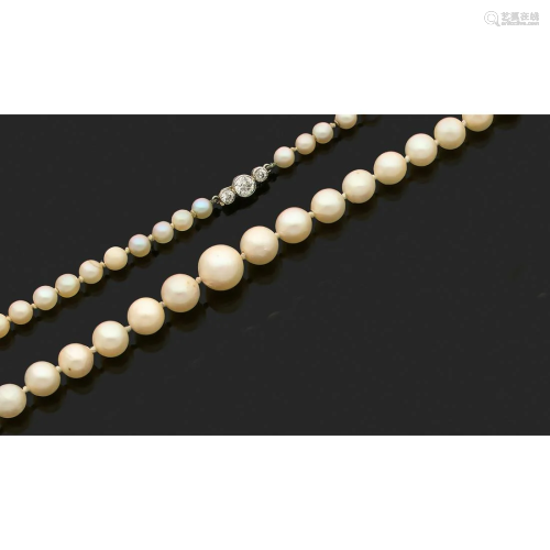 Necklace with one row of white seawater cultured pearls