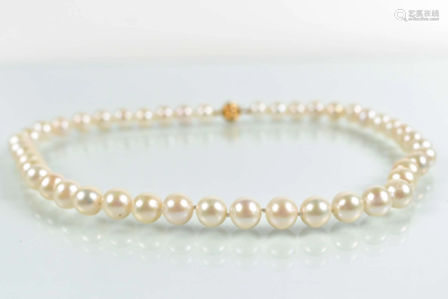 Freshwater pearl necklace, replacement value of $1300