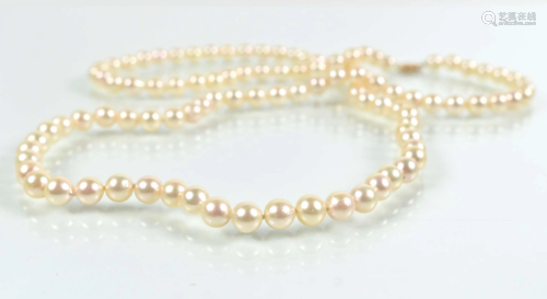 Akoya cultured pearl necklace, replacement value of