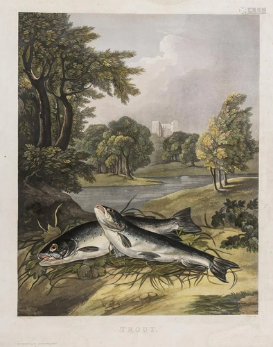 Himely (Sigismund) Trout, etching and aquatint, [19th