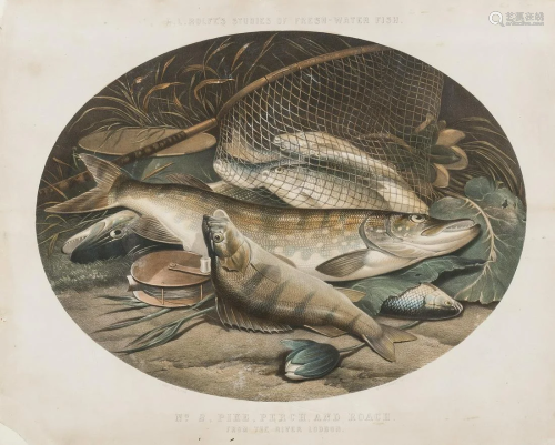 Rolfe (Henry Leonidas) No.2. Pike, Perch, and Roach