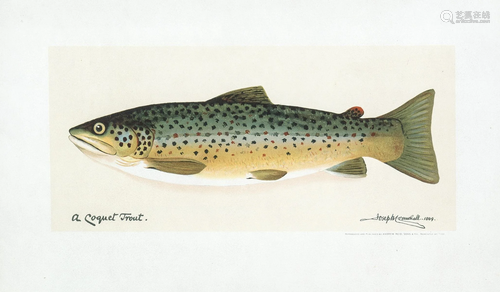 Crawhall II (Joseph), After. A Coquet Trout, 1889.